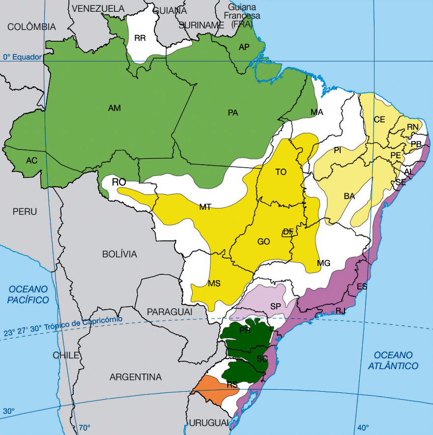 Mapa do Brasil - Domínios morfoclimáticos