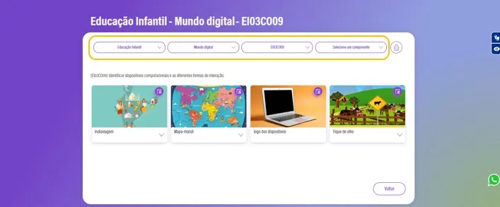 Botão voltar e ícone do WhatsApp